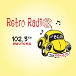 102.3 The Bug