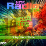 Logo 113.FM Hits USA (Top 40 / Hits)