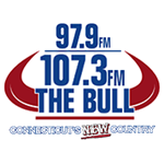 97.9 & 107.3 The Bull