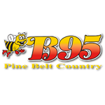 B95