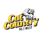 Cat Country 95.1