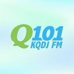 Q101