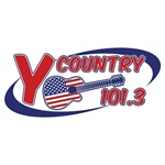 Y101.3